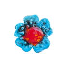 vermelho azul flor